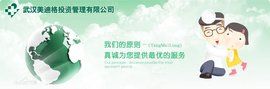 武漢美迪格投資管理有限公司 武漢美迪格投資管理有限公司