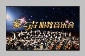 愛之聲胎教音樂會 愛之聲胎教音樂會