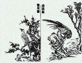 楚人有擔山雞者 楚人有擔山雞者