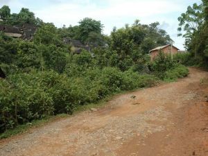 帕遷新寨村 帕遷新寨村