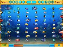 小魚兒配對 小魚兒配對