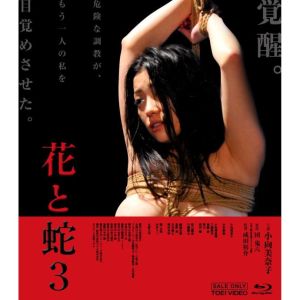 《花與蛇3》 《花與蛇3》
