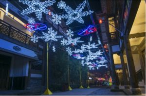 第二屆天星小鎮禪意燈會