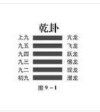 卦爻 卦爻