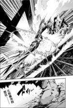 碧兒翠絲·芙勞爾查德