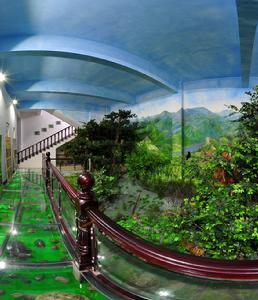 走進亞熱帶展廳