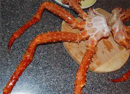 堪察加蟹 堪察加蟹