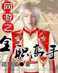 網遊之全職高手 網遊之全職高手