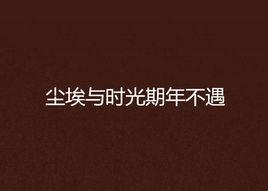 塵埃與時光期年不遇 塵埃與時光期年不遇