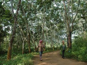 曼巒站村 曼巒站村