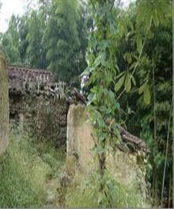 國家級貧困縣 國家級貧困縣