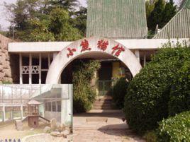 青島動物園小熊貓館 青島動物園小熊貓館