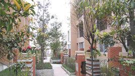 宗申塞納維 宗申塞納維