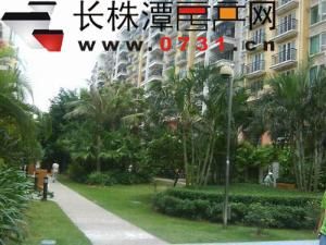 陽光棕櫚園 陽光棕櫚園