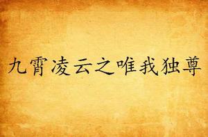 九霄凌雲之唯我獨尊 九霄凌雲之唯我獨尊