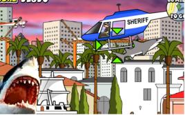 邁阿密大鯊魚 邁阿密大鯊魚