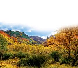 天祝三峽國家森林公園 天祝三峽國家森林公園