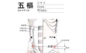 五樞穴 五樞穴