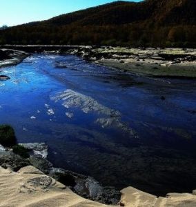 內蒙達賚湖自然保護區 內蒙達賚湖自然保護區