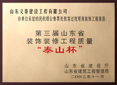 （圖）“泰山杯”獎牌