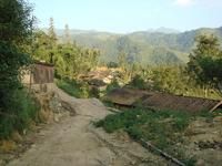 牛碑自然村 牛碑自然村