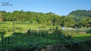 白橋鎮[重慶市開州區轄鎮]