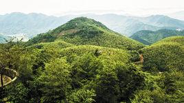 廣德山峰名錄 廣德山峰名錄