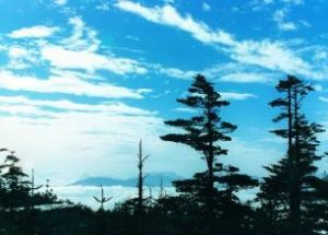 蘿峰晴雲 蘿峰晴雲