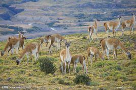 教化行為 教化行為