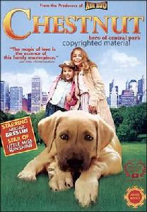 切斯納特:中央公園英雄