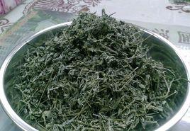 藤茶[顯齒蛇葡萄]