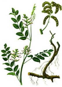 開發腠理湯 開發腠理湯