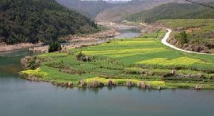 八嶺山國家森林公園