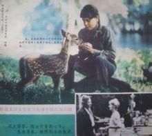 《十字小溪》 《十字小溪》