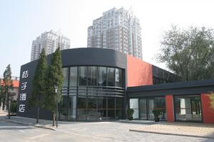 桔子酒店(北京望京店) 桔子酒店(北京望京店)
