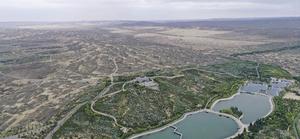 寧夏靈武白芨灘國家級自然保護區