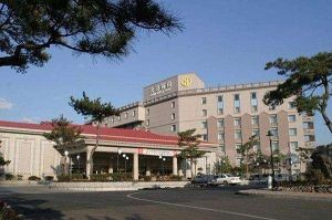 延吉大宗大宇飯店 延吉大宗大宇飯店