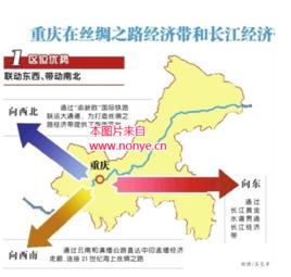 中國肉類產業 中國肉類產業
