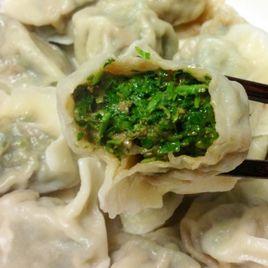 苜蓿肉餃子 苜蓿肉餃子