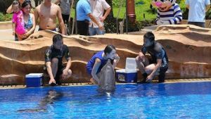 珠海長隆橫琴灣水上樂園 珠海長隆橫琴灣水上樂園