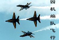 “藍天使”飛行表演隊