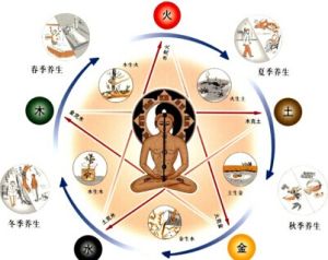 醫學哲學 醫學哲學