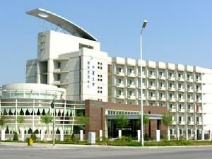 國際交流合作中心