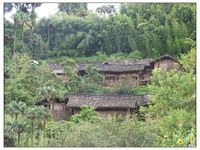 秧草坪自然村 秧草坪自然村