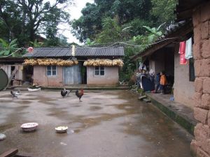 塘家箐村 塘家箐村