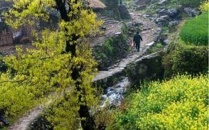 小村春色 小村春色