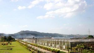 八桂田園景區 八桂田園景區