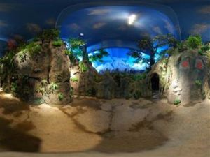 清泉自然科學探索園 清泉自然科學探索園