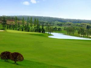 名流紫蓬灣 名流紫蓬灣