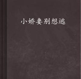 小嬌妻別想逃 小嬌妻別想逃
